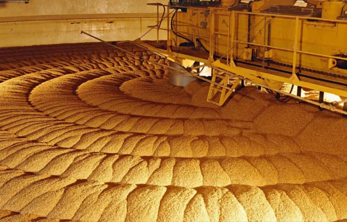 3D雷達(dá)掃描儀在糧食行業(yè)應(yīng)用案例